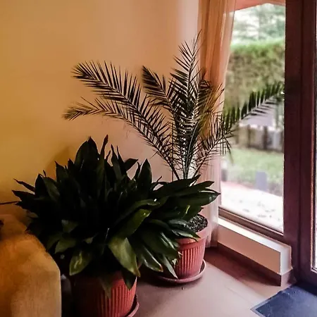 Deluxe With Cacao Beach At The Doorstep 1 Bedroom Apts *